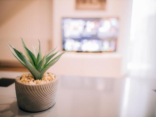 Apartman Aleksandar Lux Palić Εξωτερικό φωτογραφία
