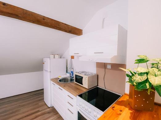 Apartman Aleksandar Lux Palić Εξωτερικό φωτογραφία